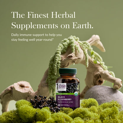 Gaia Herbs Black Elderberry – Daily Immune Support Capsules with Acerola (120 Vegan Capsules, 60 Servings)