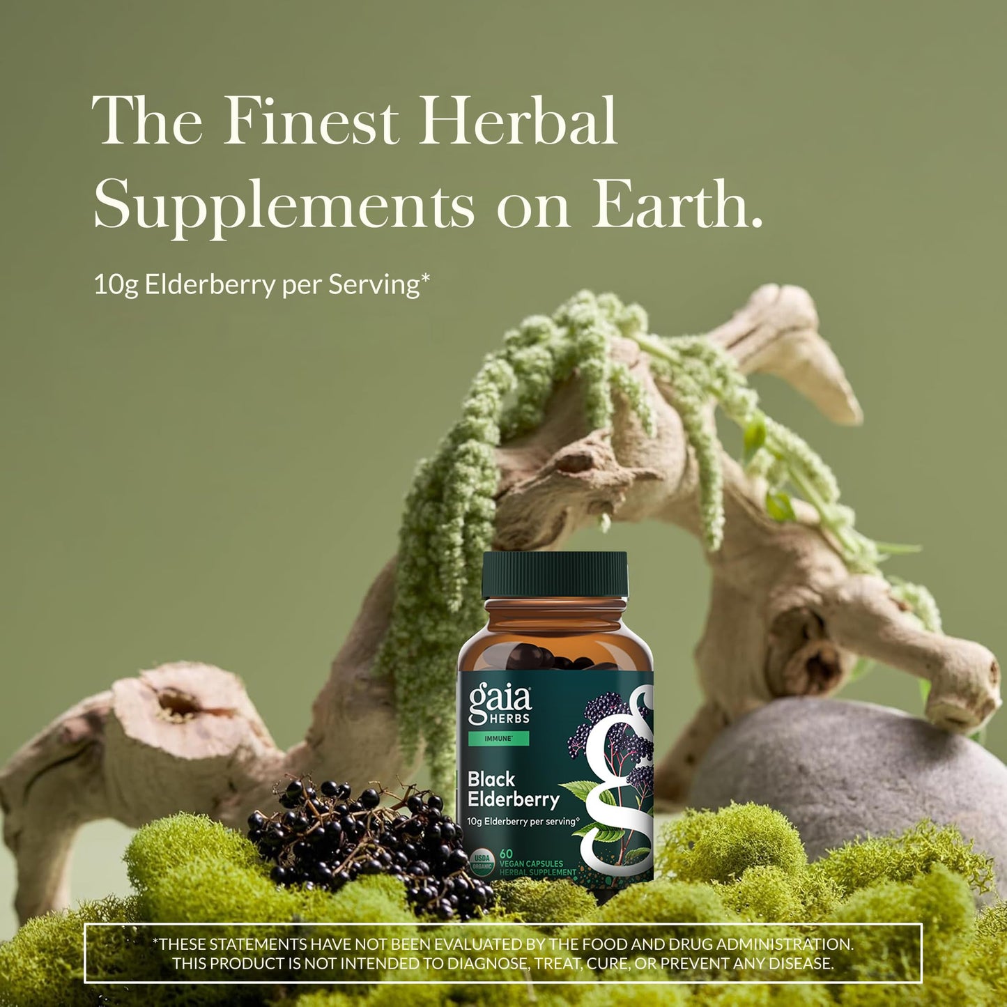Gaia Herbs Black Elderberry – Daily Immune Support Capsules with Acerola (120 Vegan Capsules, 60 Servings)