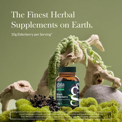 Gaia Herbs Black Elderberry – Daily Immune Support Capsules with Acerola (120 Vegan Capsules, 60 Servings)