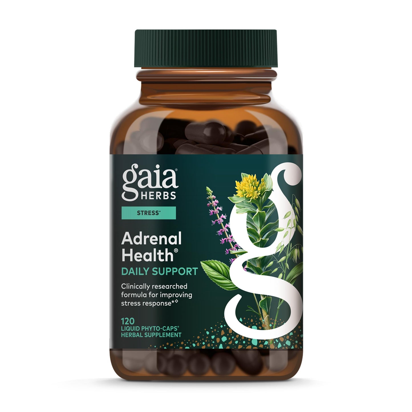 Gaia Herbs Adrenal Health Daily Support - Ashwagandha, Holy Basil & Schisandra | 120 Vegan Liquid Phyto-Caps (60 Servings)