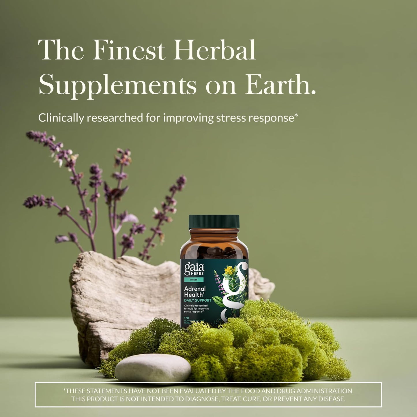 Gaia Herbs Adrenal Health Daily Support - Ashwagandha, Holy Basil & Schisandra | 120 Vegan Liquid Phyto-Caps (60 Servings)