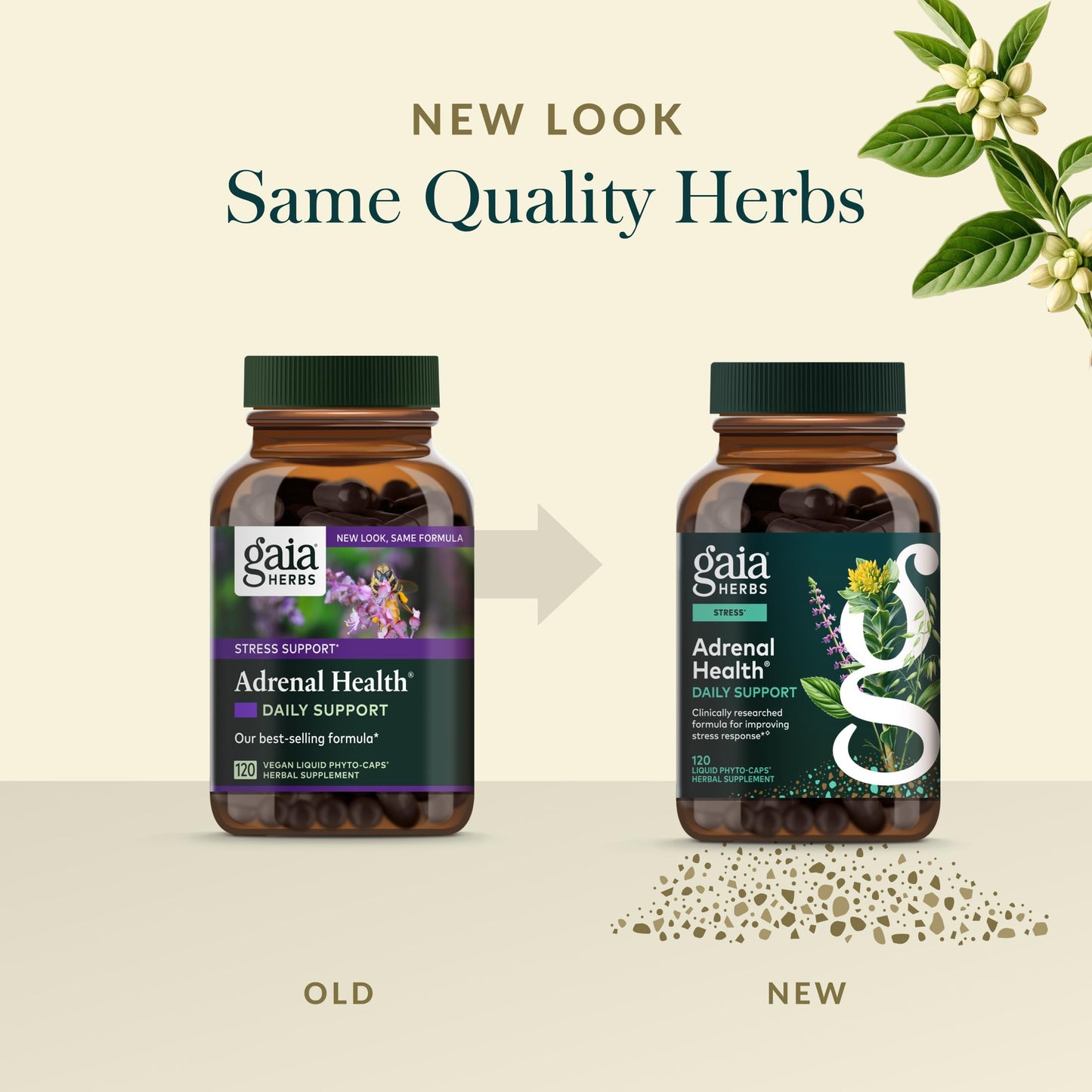 Gaia Herbs Adrenal Health Daily Support - Ashwagandha, Holy Basil & Schisandra | 120 Vegan Liquid Phyto-Caps (60 Servings)