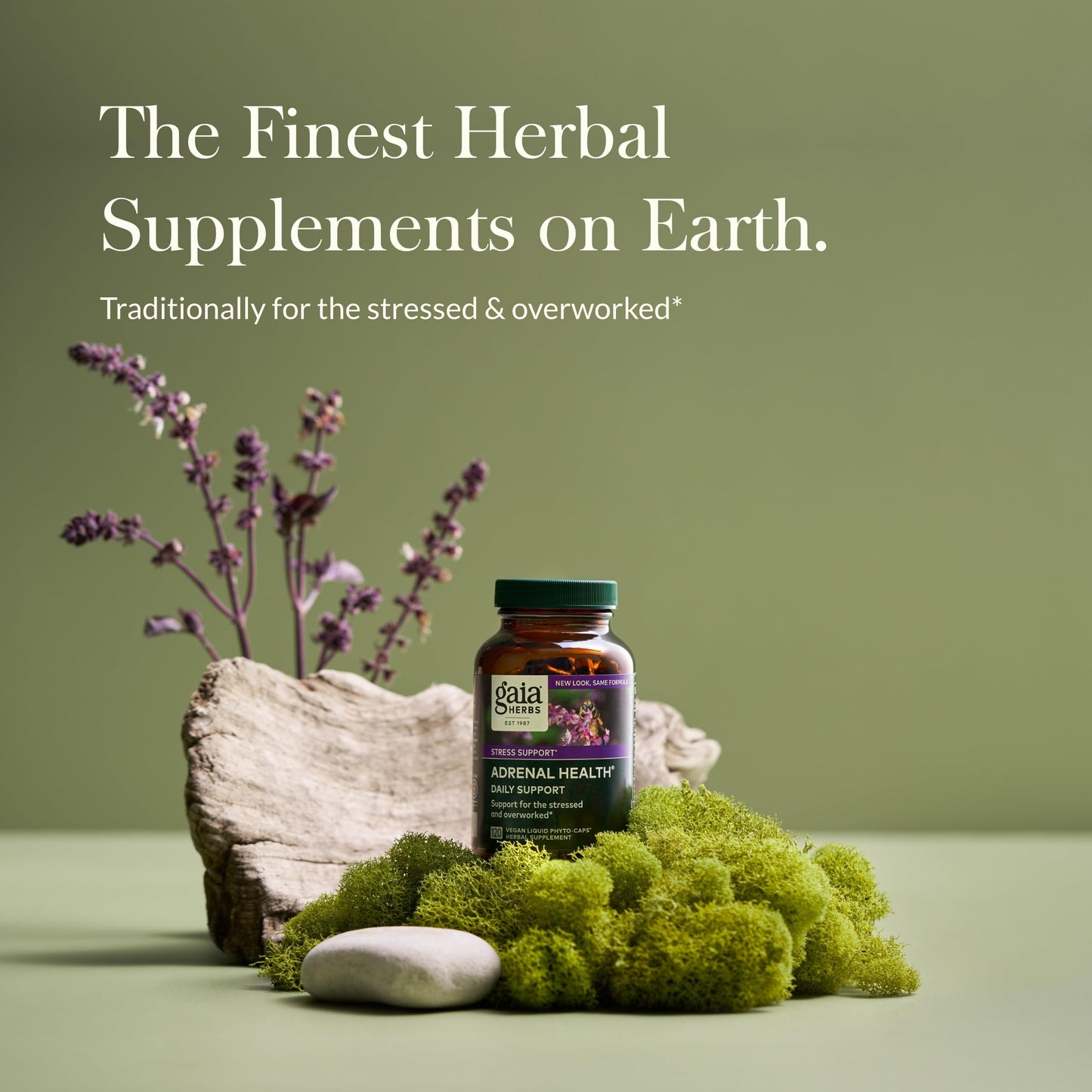 Gaia Herbs Adrenal Health Daily Support - Ashwagandha, Holy Basil & Schisandra | 120 Vegan Liquid Phyto-Caps (60 Servings)