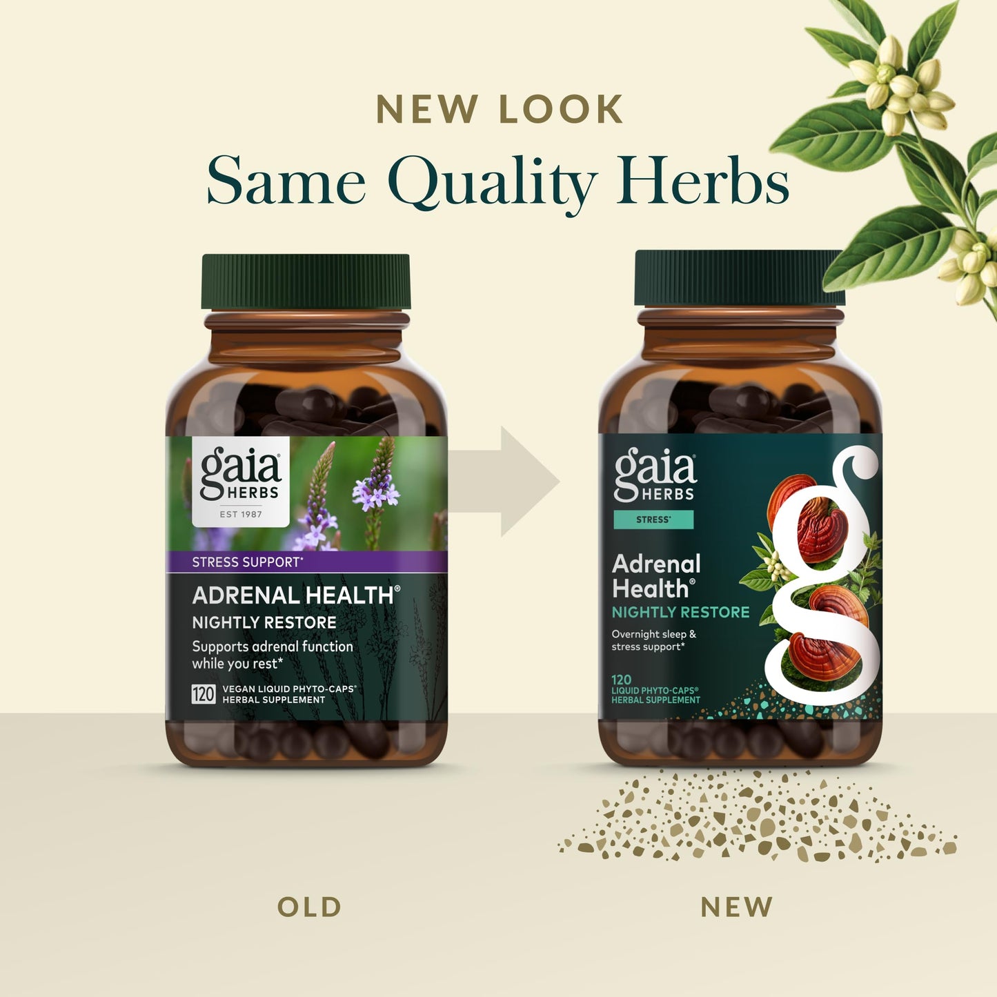 Gaia Herbs Adrenal Health Nightly Restore - Herbal Adrenal Support with Ashwagandha, Lemon Balm & Cordyceps | 120 Vegan Liquid Phyto-Caps (60 Servings)