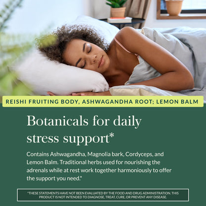 Gaia Herbs Adrenal Health Nightly Restore - Herbal Adrenal Support with Ashwagandha, Lemon Balm & Cordyceps | 120 Vegan Liquid Phyto-Caps (60 Servings)