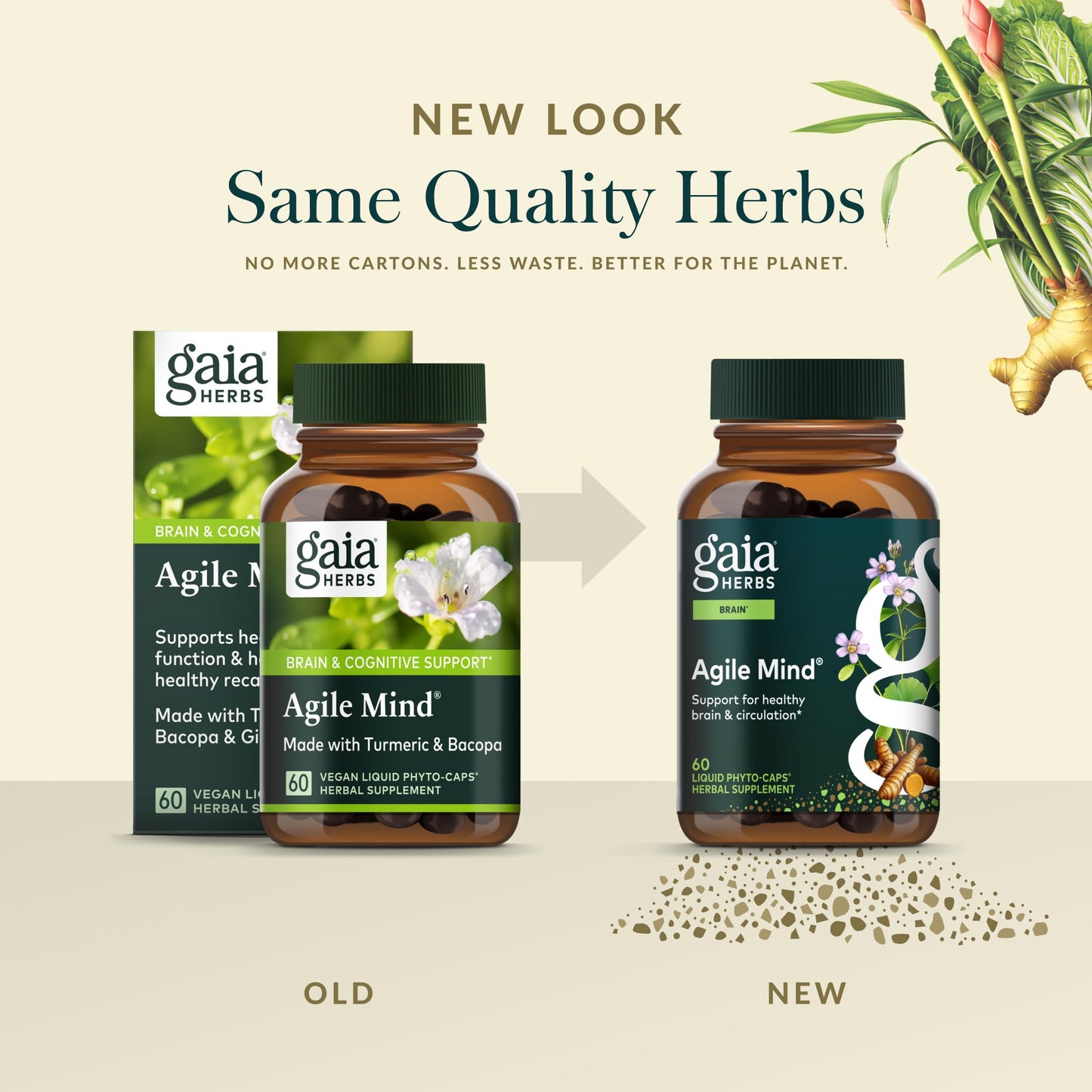 Gaia Herbs Agile Mind – Brain Support with Turmeric, Bacopa, Black Pepper & Ginkgo Biloba | 60 Vegan Liquid Phyto-Capsules