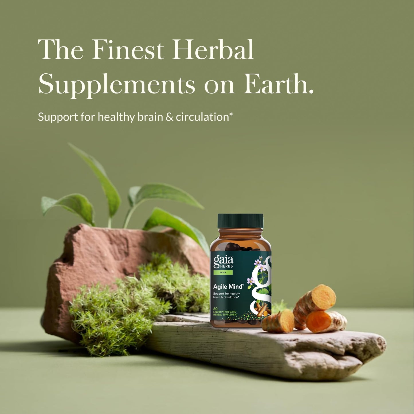 Gaia Herbs Agile Mind – Brain Support with Turmeric, Bacopa, Black Pepper & Ginkgo Biloba | 60 Vegan Liquid Phyto-Capsules