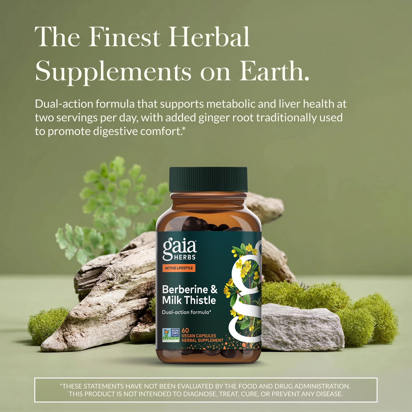 Gaia Herbs Berberine & Milk Thistle — Liver Support, Metabolism & Digestive Wellness | 60 Vegan Capsules