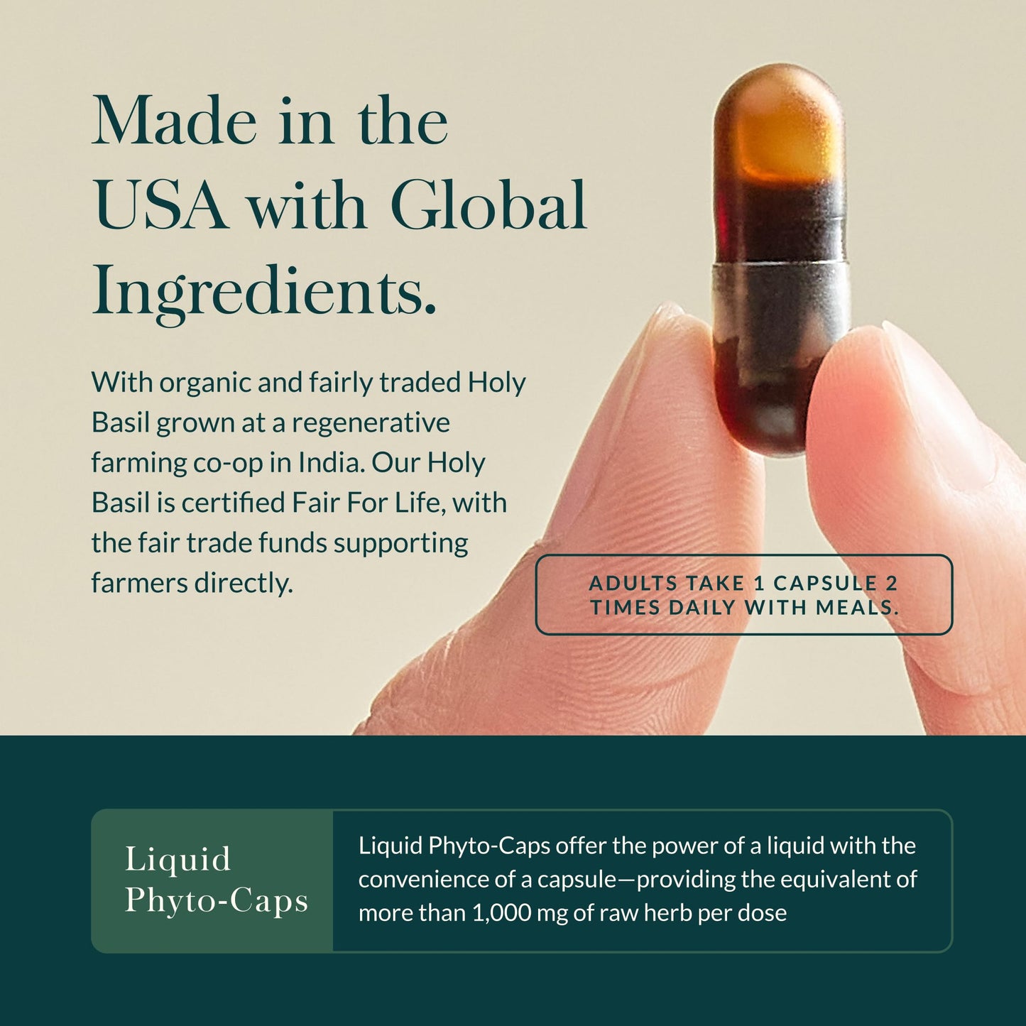 Gaia Herbs Holy Basil Leaf | Adaptogenic Ayurvedic Stress Support | 120 Vegan Liquid Phyto-Caps (60 Servings)