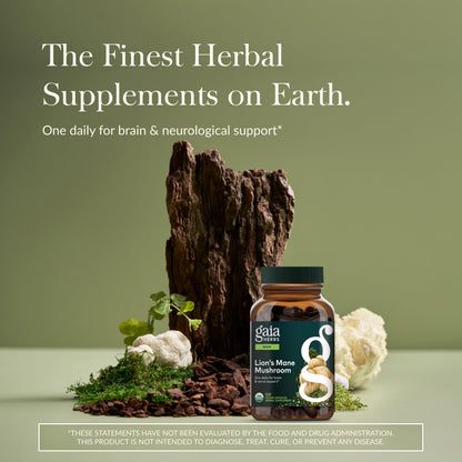 Gaia Herbs Lion's Mane Mushroom – Brain & Nerve Support, 120 Vegan Capsules