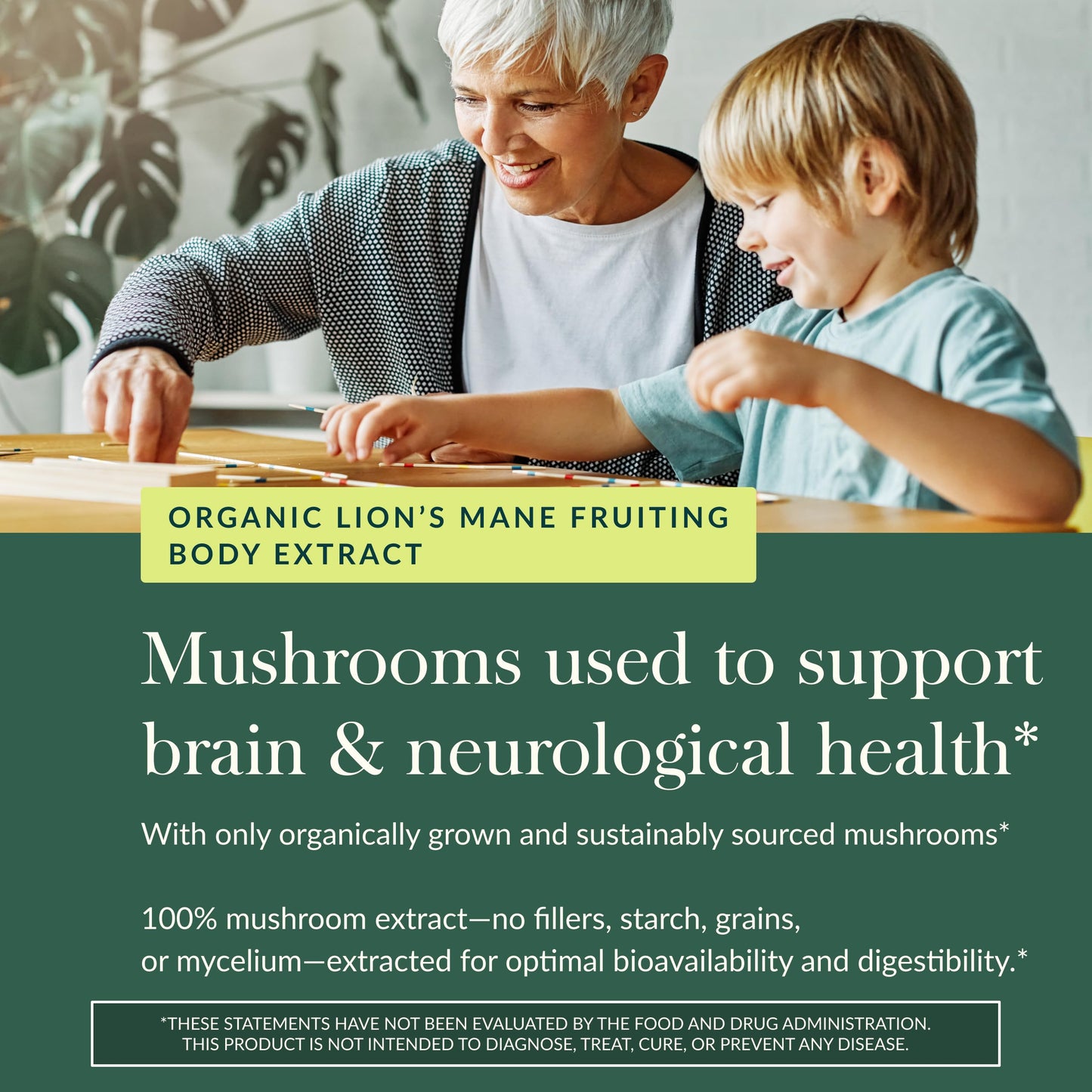Gaia Herbs Lion's Mane Mushroom – Brain & Nerve Support, 120 Vegan Capsules