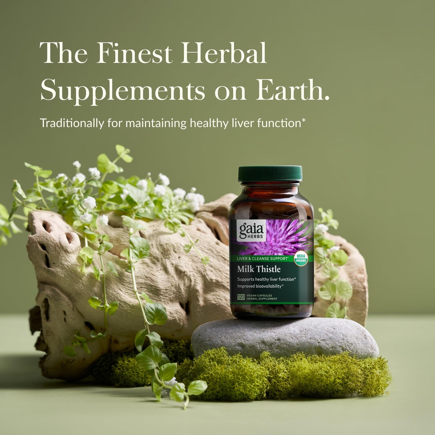 Gaia Herbs Milk Thistle - Liver Support Supplement | 120 Vegan Capsules