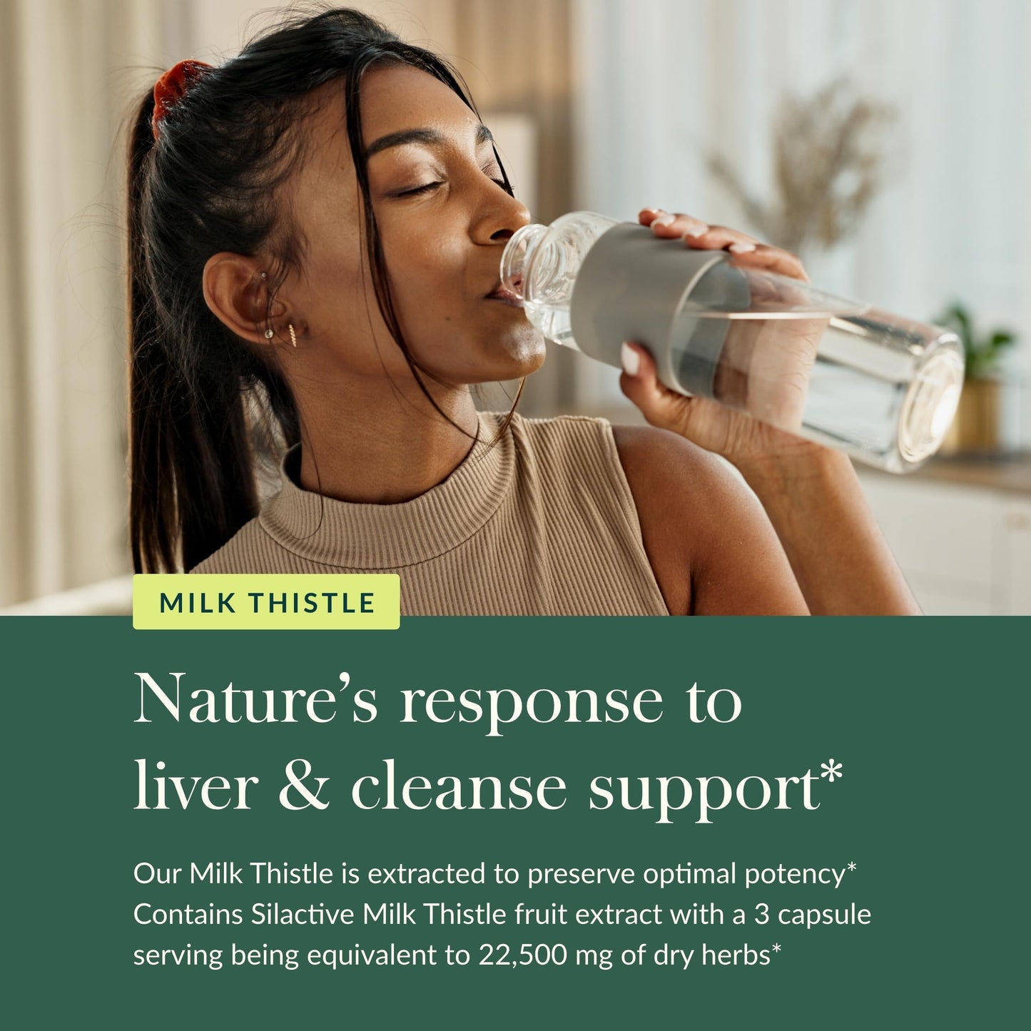 Gaia Herbs Milk Thistle - Liver Support Supplement | 120 Vegan Capsules