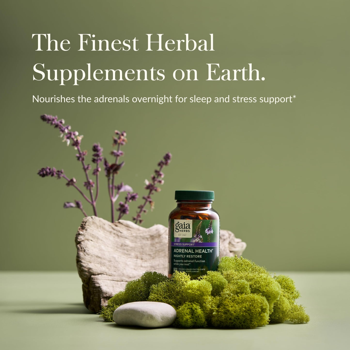 Gaia Herbs Adrenal Health Nightly Restore - Herbal Adrenal Support with Ashwagandha, Lemon Balm & Cordyceps | 120 Vegan Liquid Phyto-Caps (60 Servings)