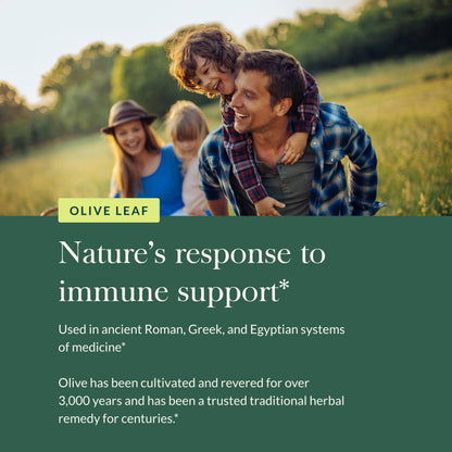 Gaia Herbs Olive Leaf - Traditional Immune Support with Oleuropein | 120 Vegan Liquid Phyto-Caps