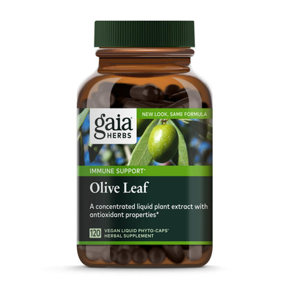 Gaia Herbs Olive Leaf - Traditional Immune Support with Oleuropein | 120 Vegan Liquid Phyto-Caps