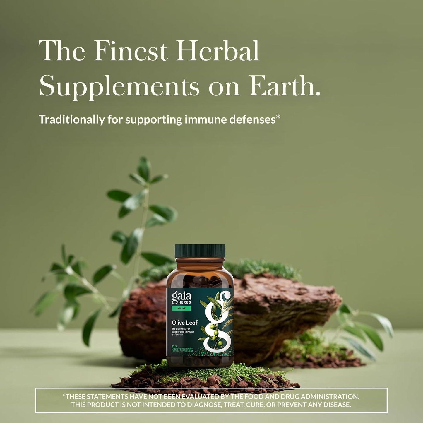 Gaia Herbs Olive Leaf - Traditional Immune Support with Oleuropein | 120 Vegan Liquid Phyto-Caps