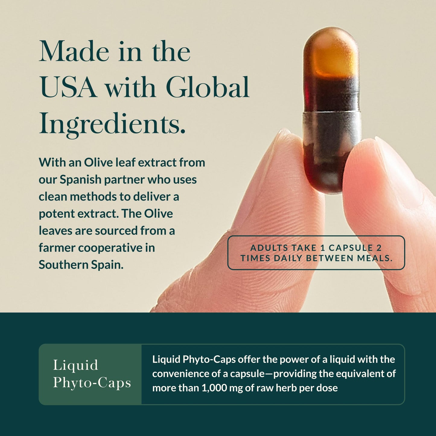 Gaia Herbs Olive Leaf - Traditional Immune Support with Oleuropein | 120 Vegan Liquid Phyto-Caps