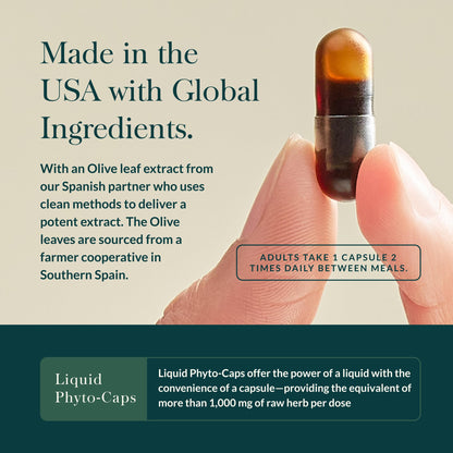 Gaia Herbs Olive Leaf - Traditional Immune Support with Oleuropein | 120 Vegan Liquid Phyto-Caps