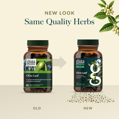 Gaia Herbs Olive Leaf - Traditional Immune Support with Oleuropein | 120 Vegan Liquid Phyto-Caps