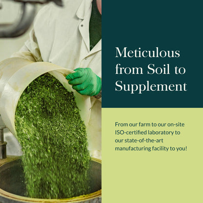 Gaia Herbs Ashwagandha Root - Stress Relief & Sleep Support, 180 Vegan Liquid Phyto-Caps (90 Servings)