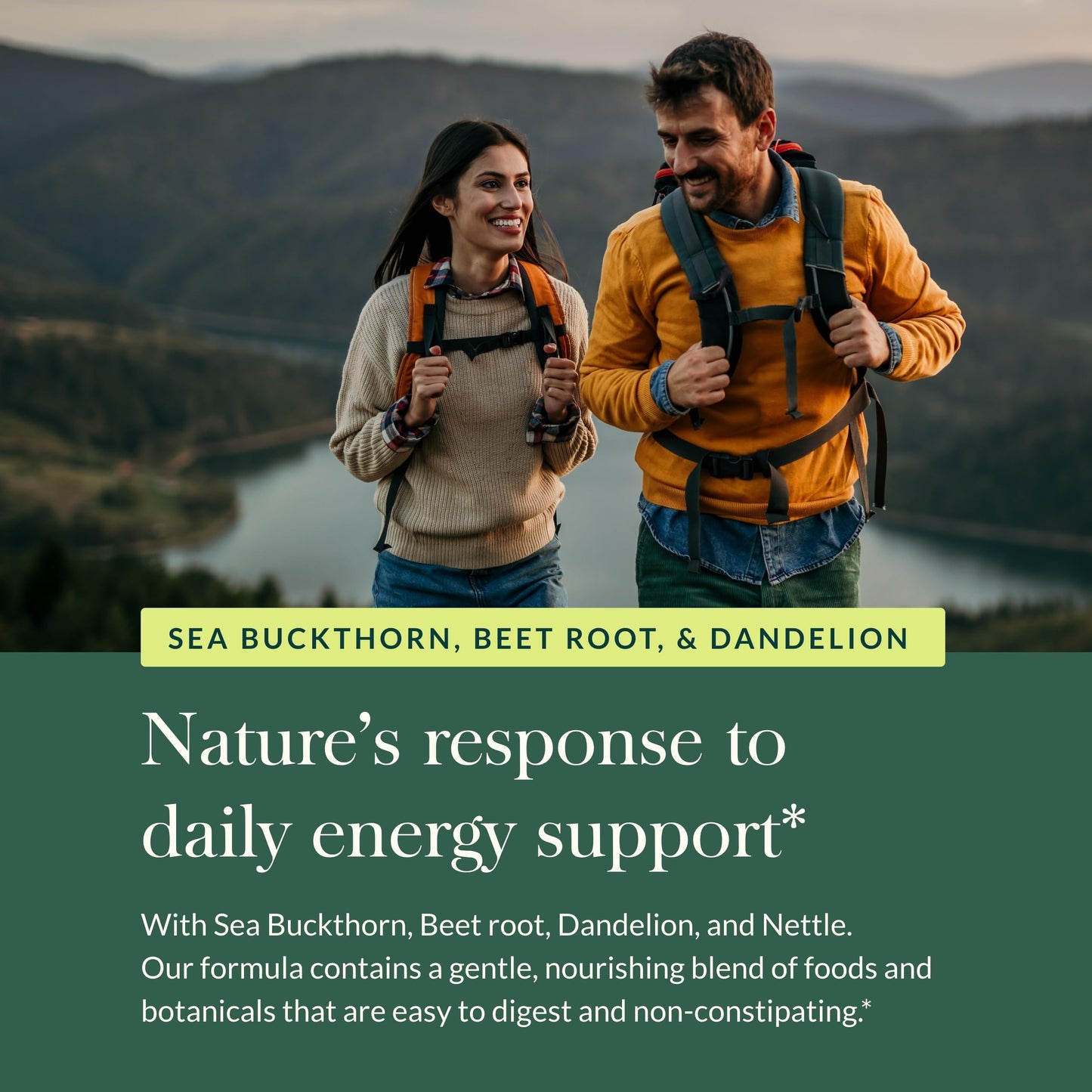 Gaia Herbs Plant Force Liquid Iron – Vegetarian Iron Supplement for Energy & Iron Support – 16 fl oz
