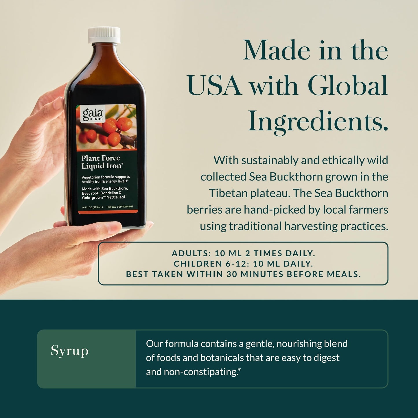 Gaia Herbs Plant Force Liquid Iron – Vegetarian Iron Supplement for Energy & Iron Support – 16 fl oz