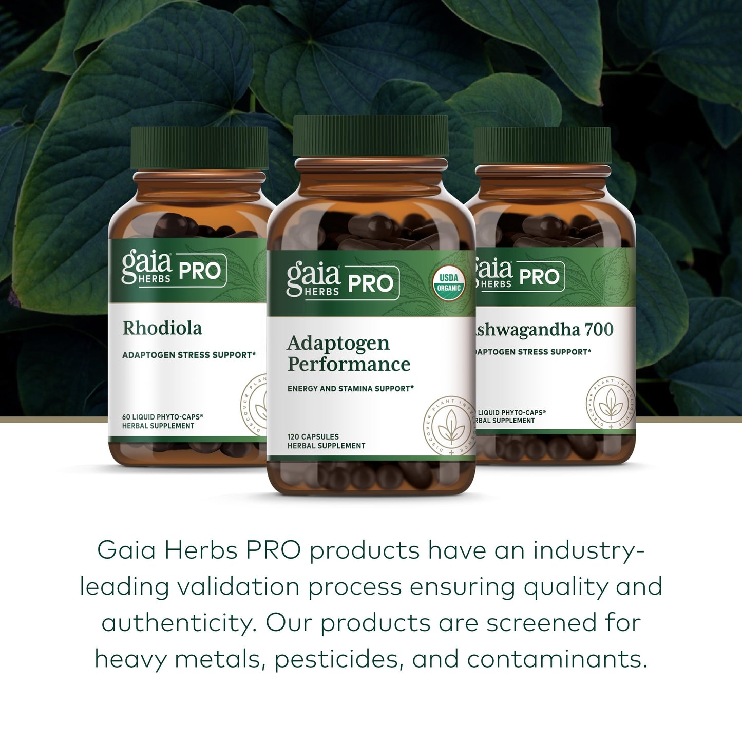 GAIA HERBS PRO Adaptogen Performance - Endurance & Energy Support with Cordyceps & Ashwagandha (120 Capsules, 60 Servings)