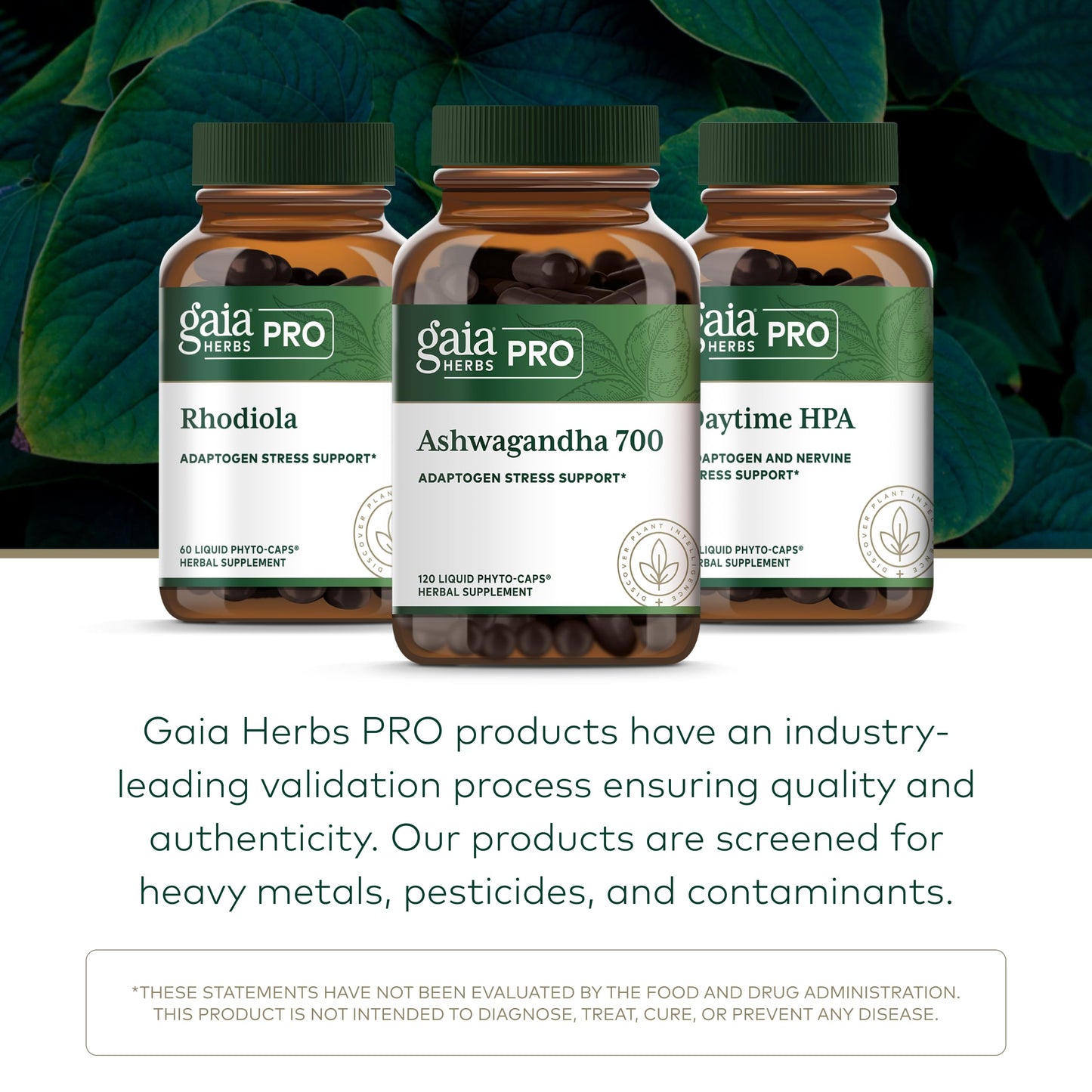 GAIA HERBS PRO Ashwagandha 700 - Immune Support & Calm, 120 Liquid Phyto-Caps (60 Servings)