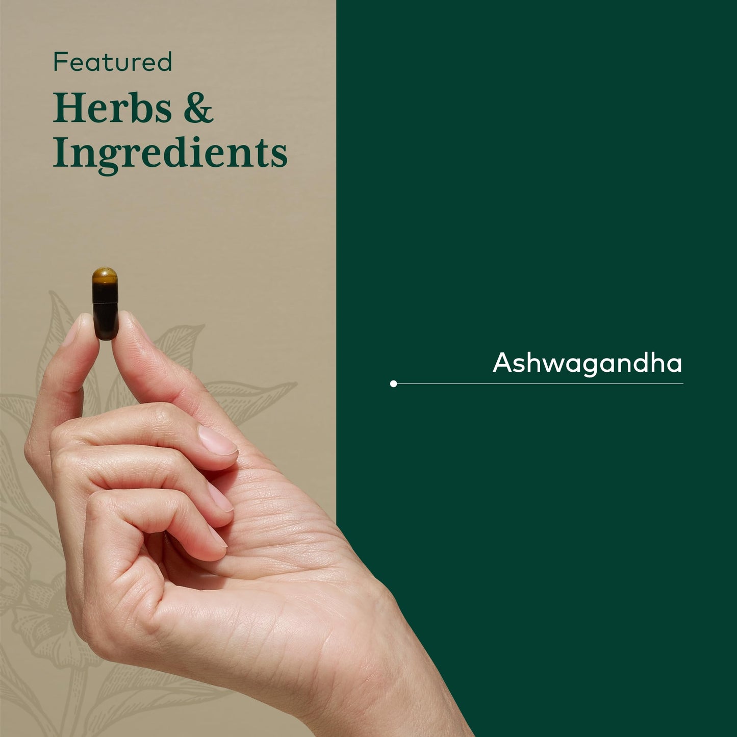 GAIA HERBS PRO Ashwagandha 700 - Immune Support & Calm, 120 Liquid Phyto-Caps (60 Servings)