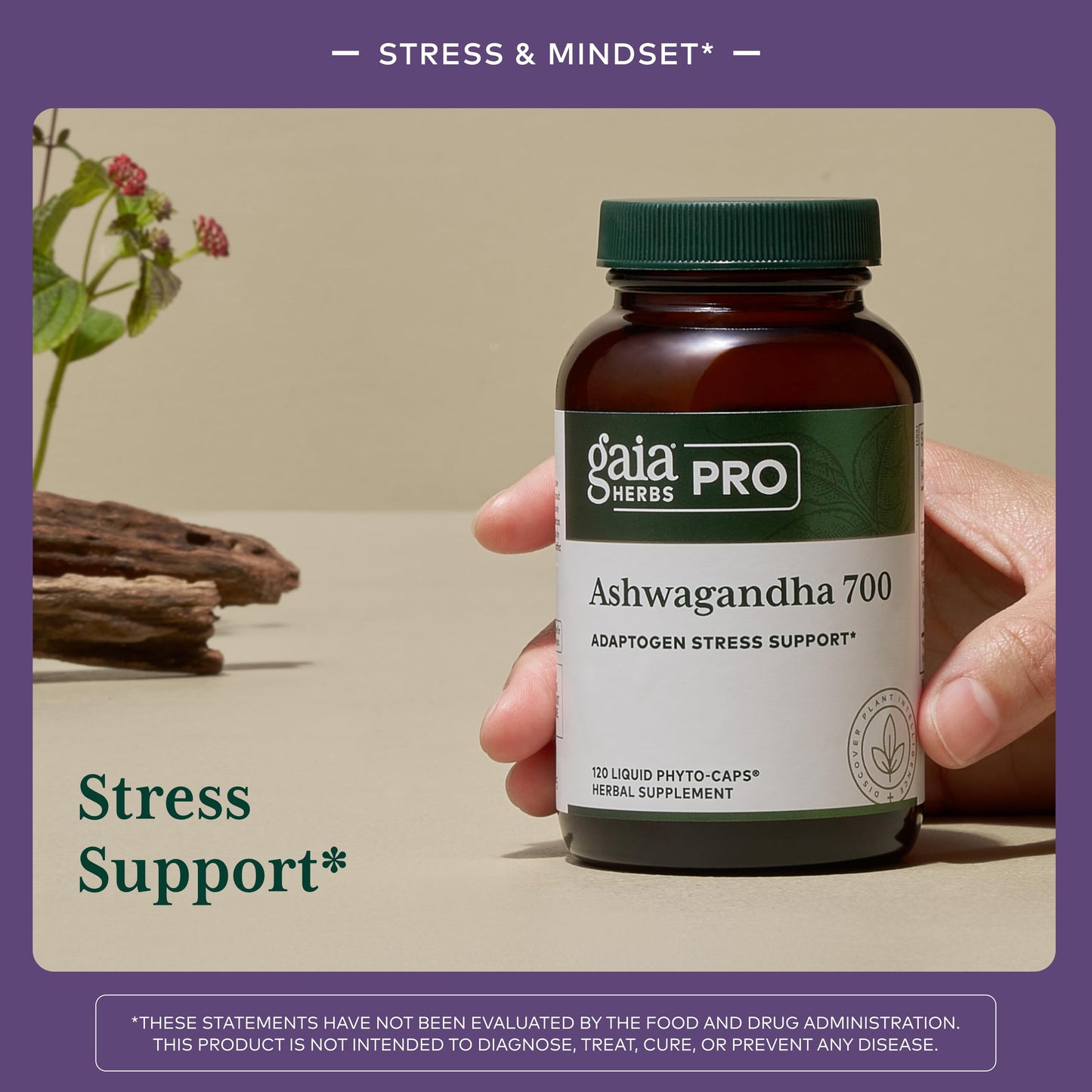 GAIA HERBS PRO Ashwagandha 700 - Immune Support & Calm, 120 Liquid Phyto-Caps (60 Servings)