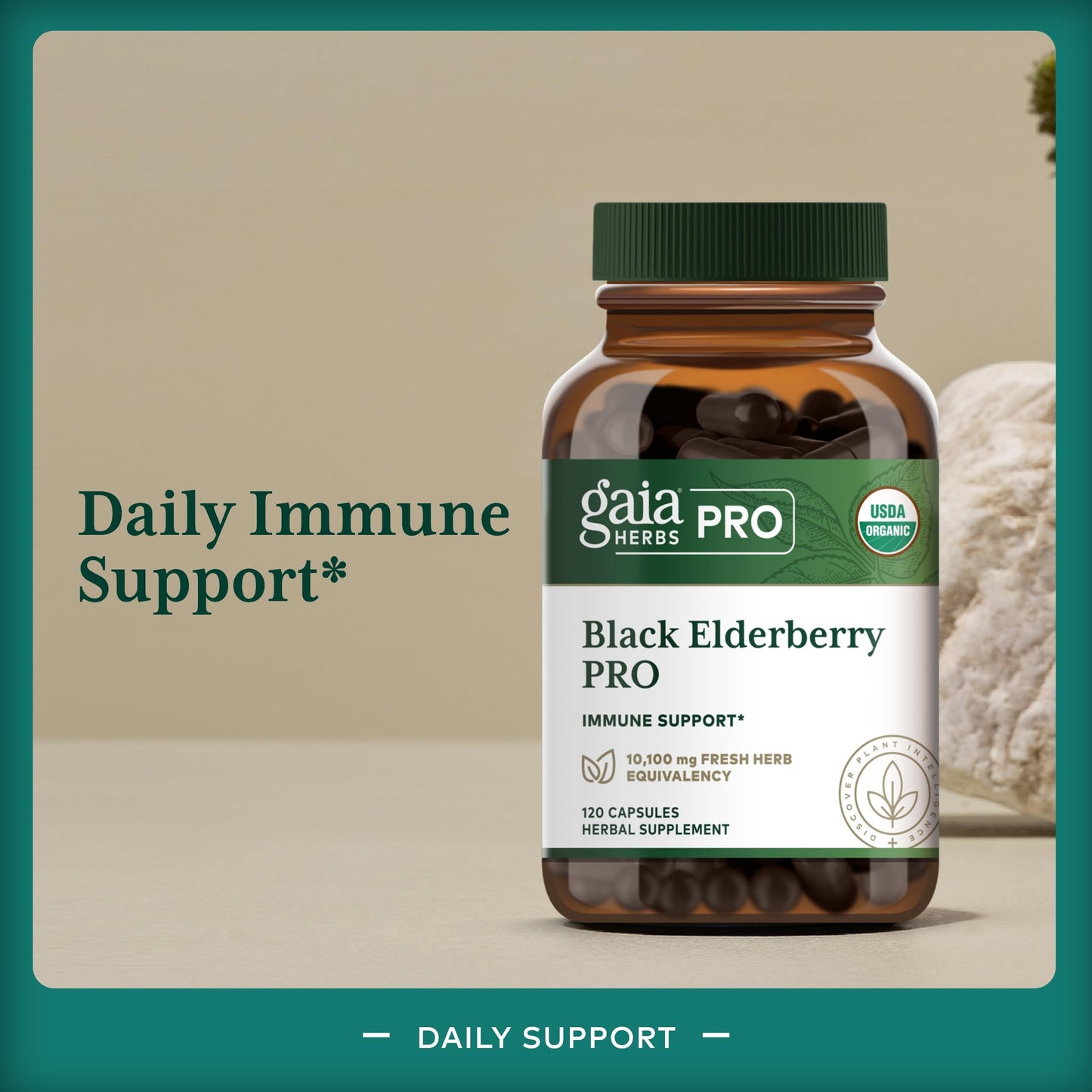 GAIA HERBS PRO Black Elderberry PRO - Immune Support*, Organic Elderberry Extract, Vegan, 120 Capsules (60 Servings)