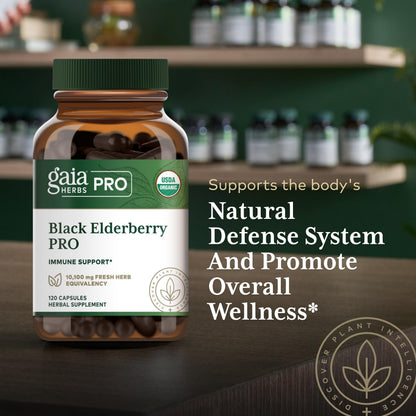 GAIA HERBS PRO Black Elderberry PRO - Immune Support*, Organic Elderberry Extract, Vegan, 120 Capsules (60 Servings)