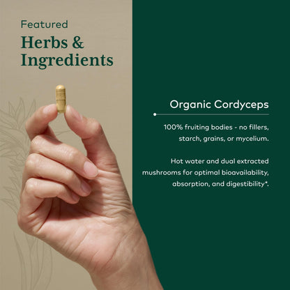 GAIA HERBS PRO Cordyceps Mushroom - 60 Caps | 5,000 mg per 2 Caps | Adaptogenic Energy