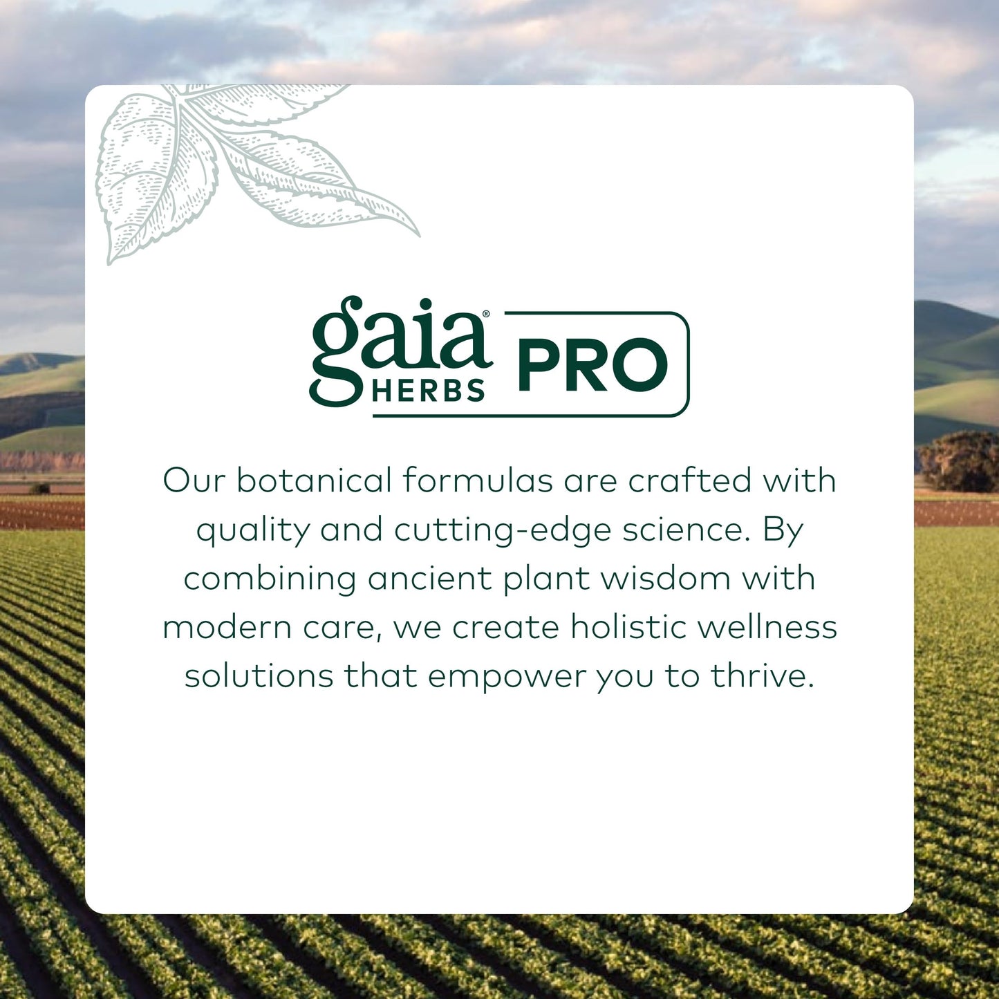 GAIA HERBS PRO Daytime HPA — Adaptogen & Nervous System Support (120 Liquid Phyto-Caps)