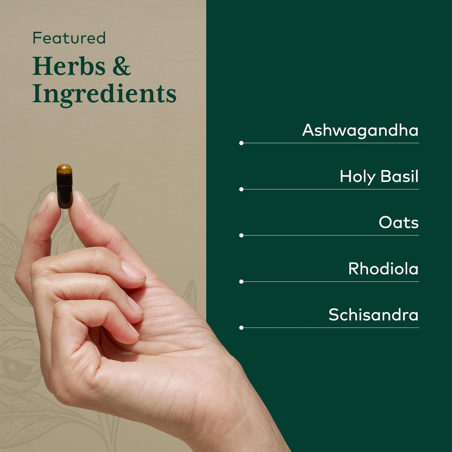 GAIA HERBS PRO Daytime HPA — Adaptogen & Nervous System Support (120 Liquid Phyto-Caps)
