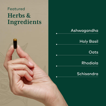 GAIA HERBS PRO Daytime HPA — Adaptogen & Nervous System Support (120 Liquid Phyto-Caps)