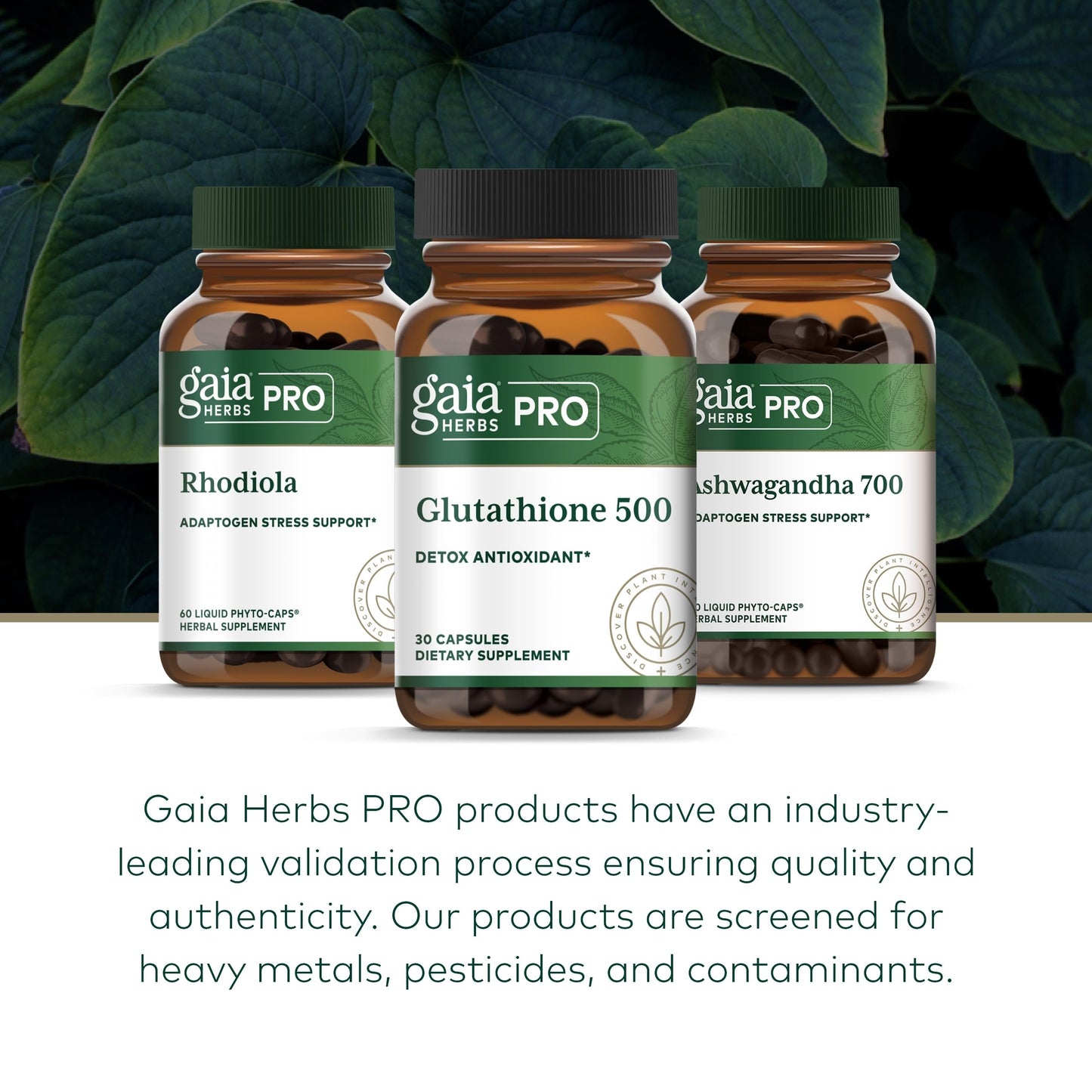 GAIA HERBS PRO Glutathione 500 - Antioxidant Support | 30 Servings | Vegan & Gluten-Free