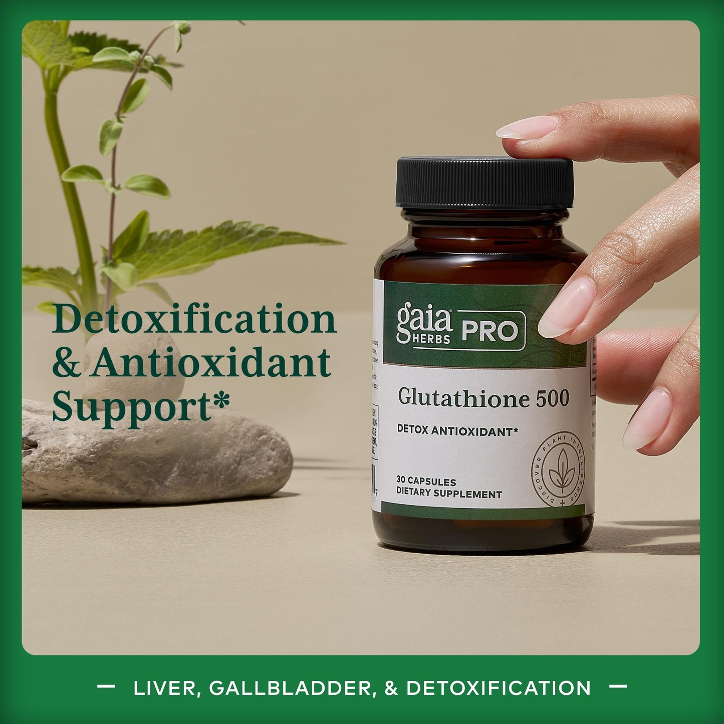 GAIA HERBS PRO Glutathione 500 - Antioxidant Support | 30 Servings | Vegan & Gluten-Free