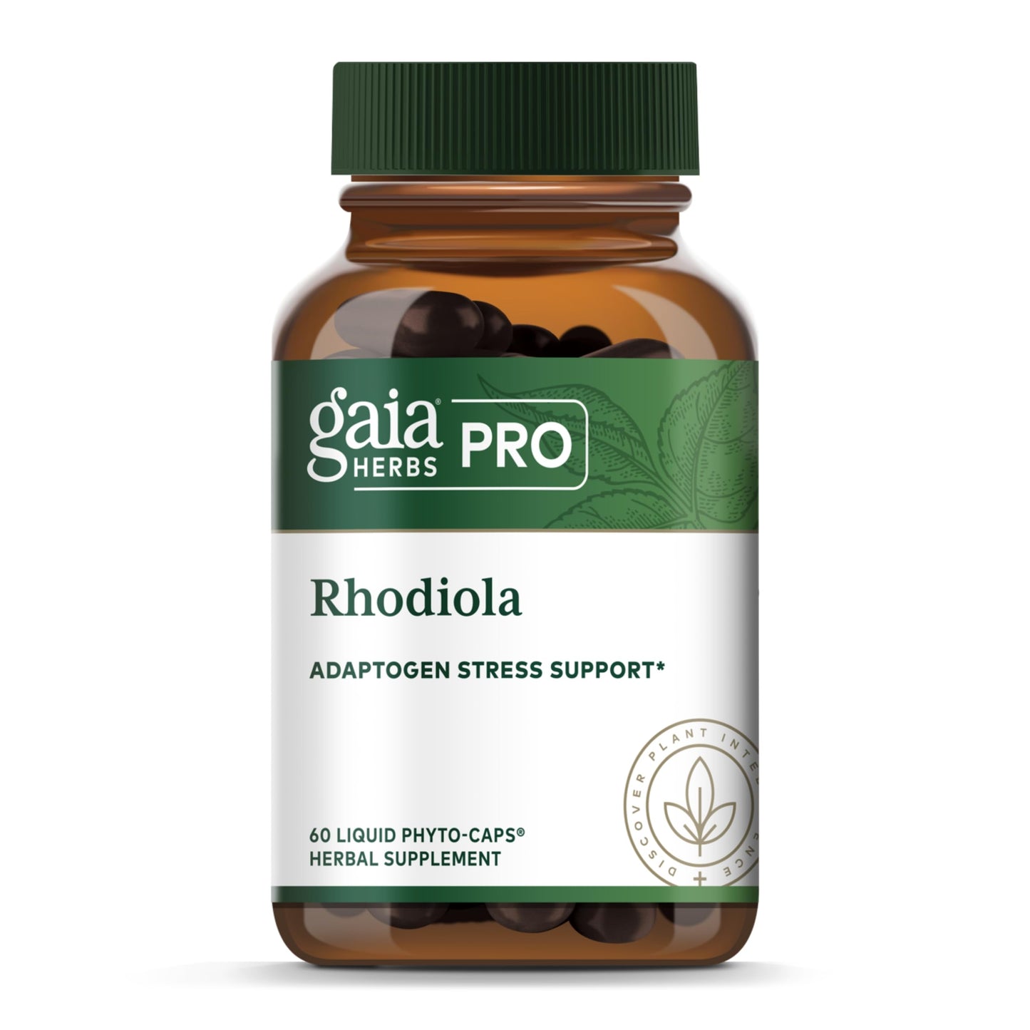 GAIA HERBS PRO Rhodiola - Energy Support Supplement - Adaptogen with Rhodiola Root Extract - Vegan Gluten-Free Soy-Free - 60 Phyto-Caps (30 Servings)