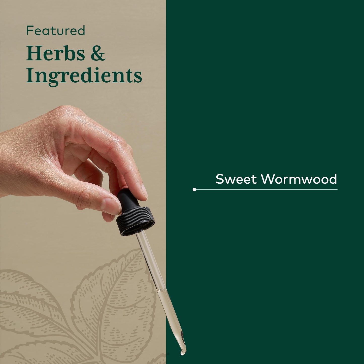 Gaia Herbs Pro Sweet Wormwood - Digestive Health & Elimination Support | 2 fl oz (71 Servings) - Vegan, Gluten-Free & Dairy-Free