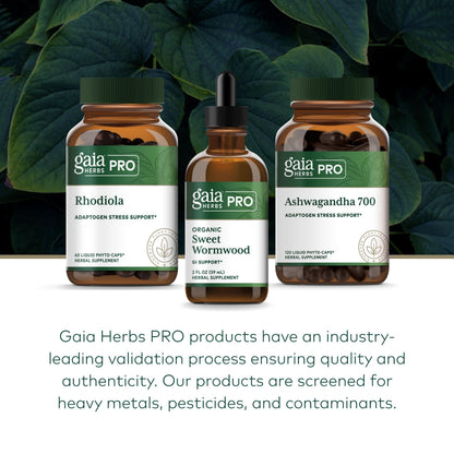 Gaia Herbs Pro Sweet Wormwood - Digestive Health & Elimination Support | 2 fl oz (71 Servings) - Vegan, Gluten-Free & Dairy-Free
