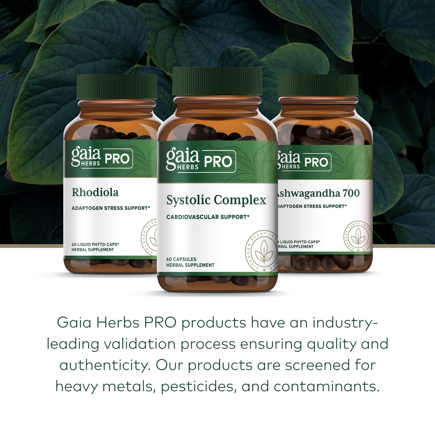Gaia Herbs PRO Systolic Complex – Cardiovascular Support Supplement* (60 Capsules)