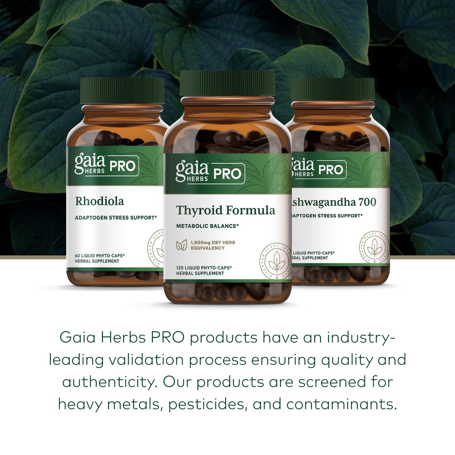 Gaia Herbs Pro Thyroid Formula – Supports Cardiovascular & Metabolic Health – 120 Liquid Phyto-Caps (60 Servings) – Vegan & Gluten-Free