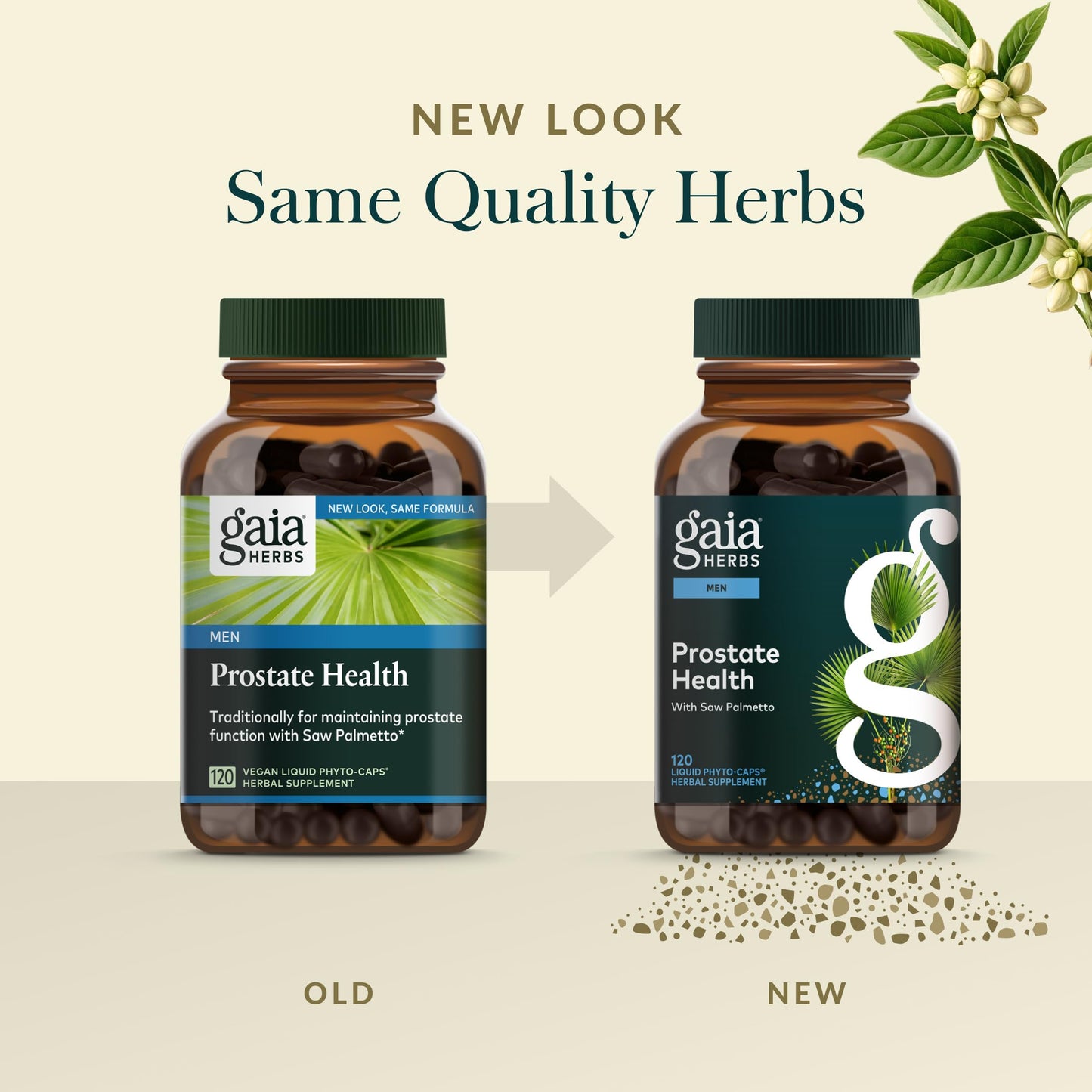 Gaia Herbs Prostate Health - Supports Prostate Function with Saw Palmetto, Green Tea, Nettle Root & White Sage - 120 Vegan Liquid Phyto-Caps (60 Servings)