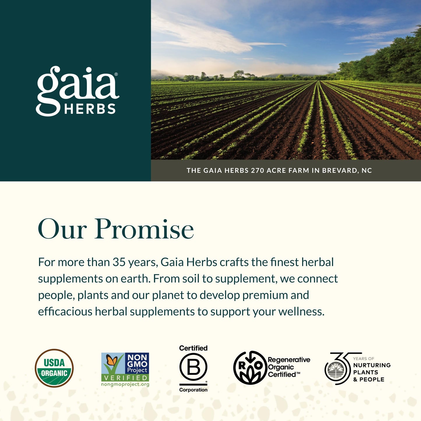 Gaia Herbs Prostate Health - Supports Prostate Function with Saw Palmetto, Green Tea, Nettle Root & White Sage - 120 Vegan Liquid Phyto-Caps (60 Servings)