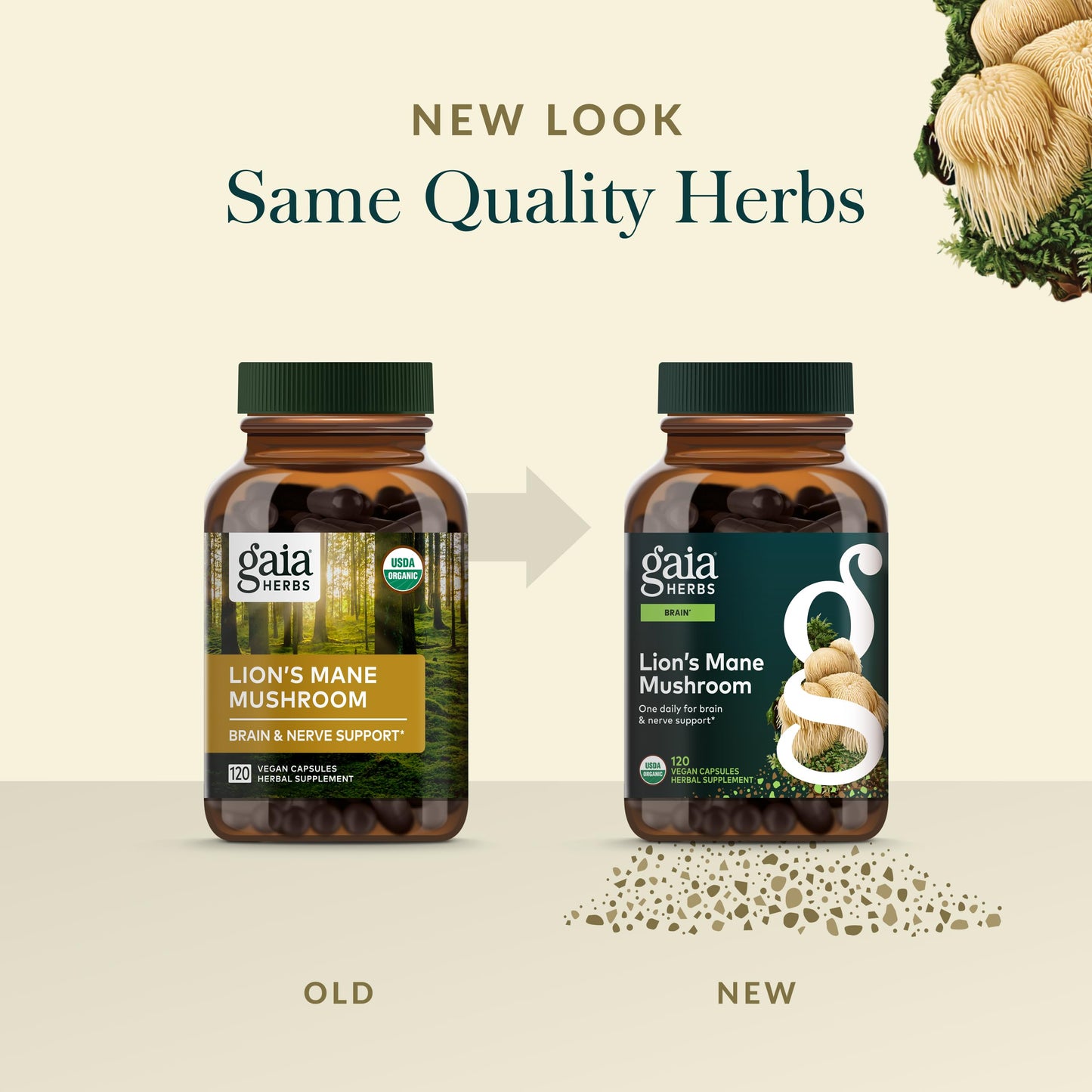 Gaia Herbs Lion's Mane Mushroom – Brain & Nerve Support, 120 Vegan Capsules