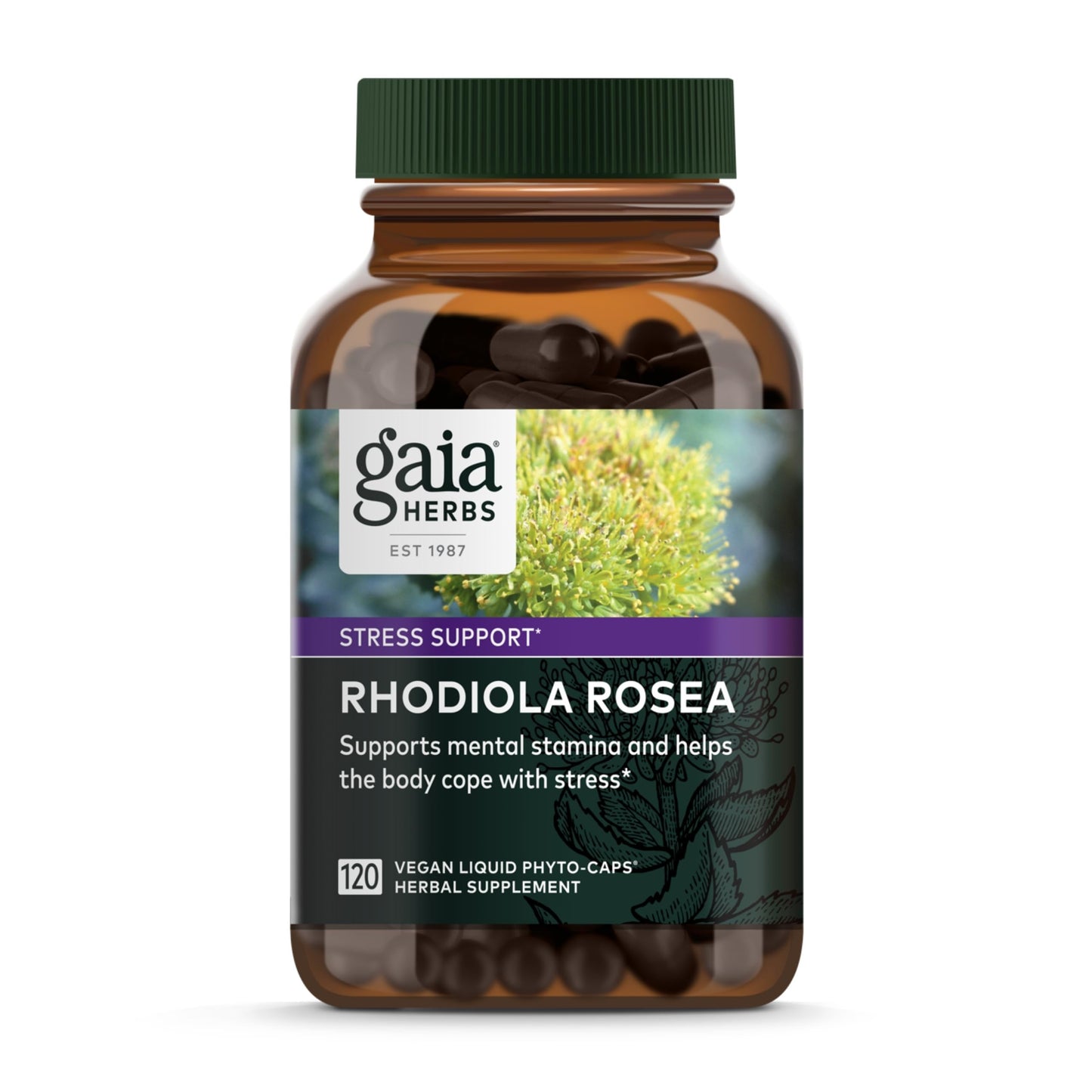 Gaia Herbs Rhodiola Rosea - Stress Support & Endurance - Siberian Root Extract - 120 Vegan Liquid Phyto-Caps (120 Servings)