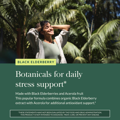Gaia Herbs Black Elderberry – Daily Immune Support Capsules with Acerola (120 Vegan Capsules, 60 Servings)