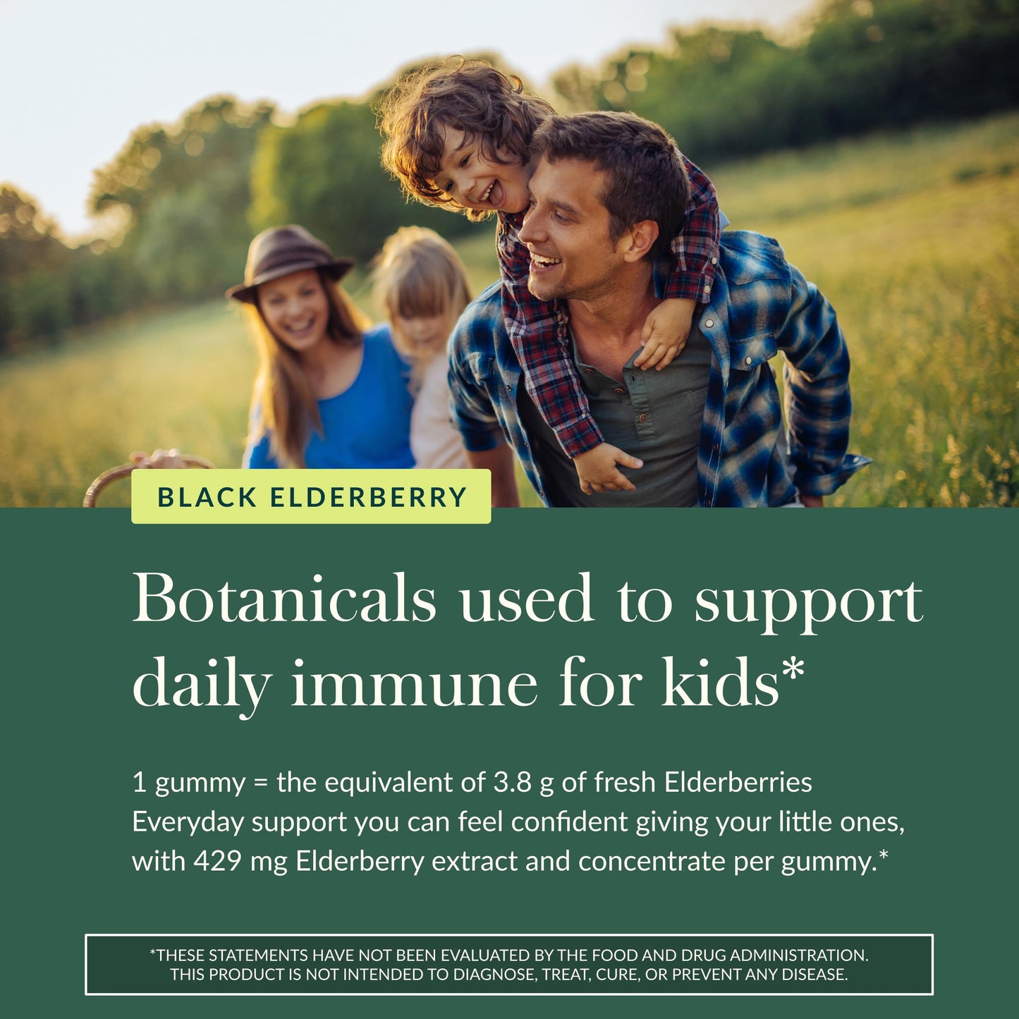 GaiaKids Black Elderberry Daily Gummies for Kids | Immune Support | Organic Elderberries | 40 Gummies